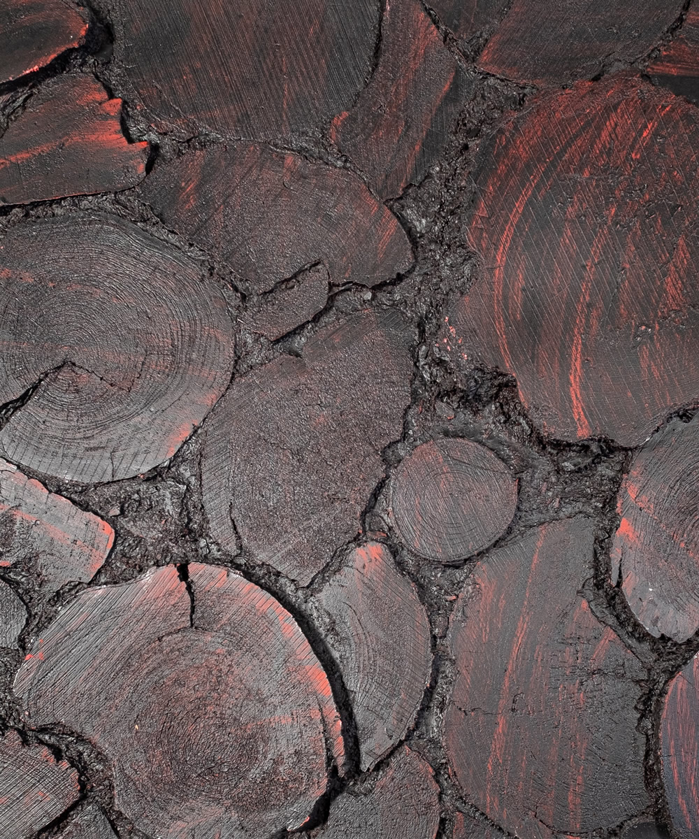 Fiberglass Panel Cladding Felis Nerissa Fiberglass wall panel, fiber panel cladding, fiberglass panel veneer log wood model, black red